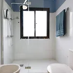 فيلة Trevina 31-2 *
